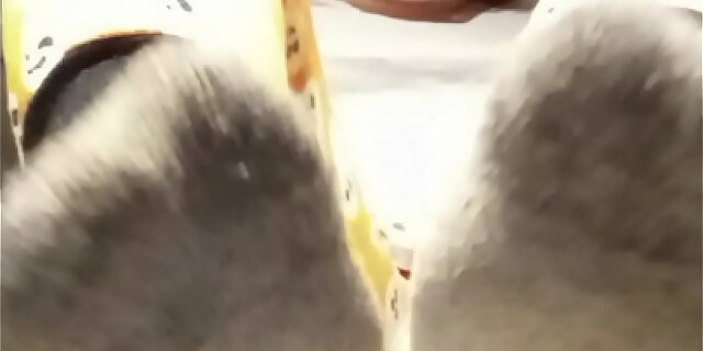 amateur,dirty,feet,fetish,girlfriend,homemade,molten,pornstar,pov,webcam