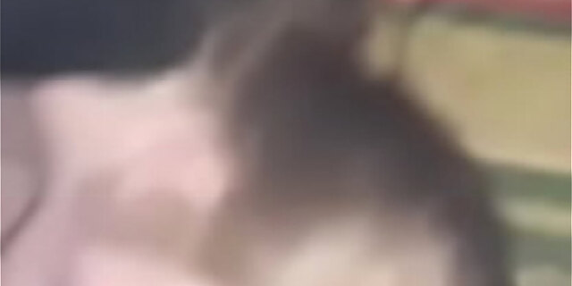 bbc,big ass,big cock,black,blowjob,couple,licking