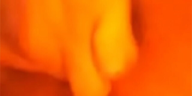 amateur,blonde,fingering,pussy