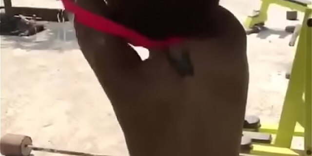 anal,ass,colombian,ebony,outdoor,teen