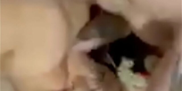 big ass,big tits,doggystyle,friends,goth,hardcore,husband,lesbian,licking,milf,pawg,pussy,shaved pussy,sister,squirt