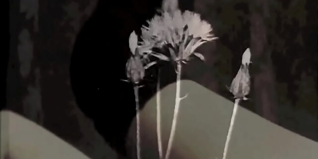 bdsm,lesbian,mature,milf,retro,vintage