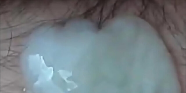 cum,cumshot