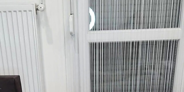 babes,blowjob,brunette,hardcore