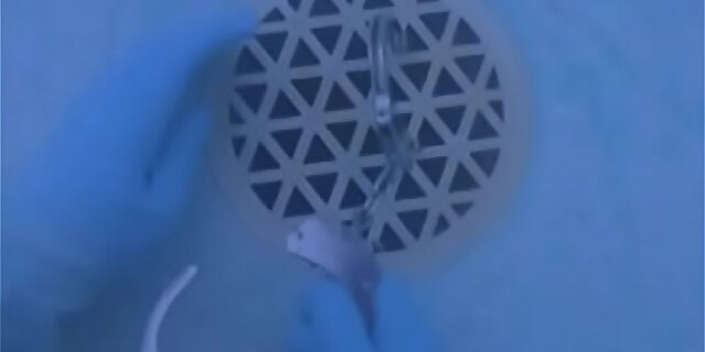 bikini,blonde,pool,red