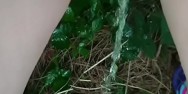 outdoor,pissing