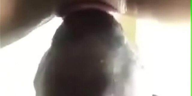 blowjob,femdom,juicy,licking,pussy