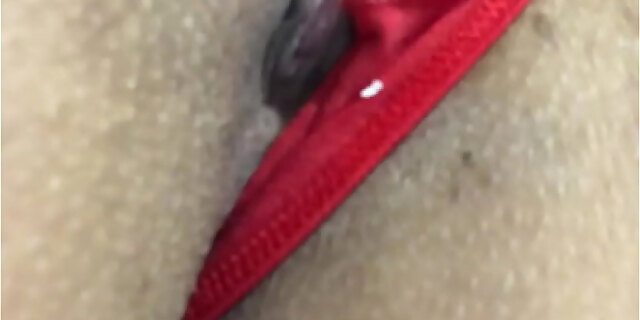 amateur,ass,brazil,latin,molten,shaved pussy