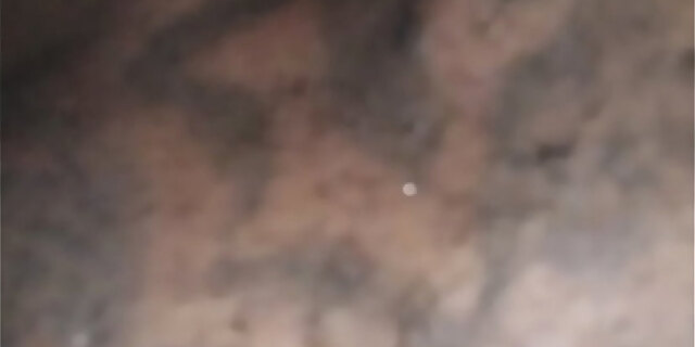 anal,bbc,bbw,big ass,fat,licking,pussy