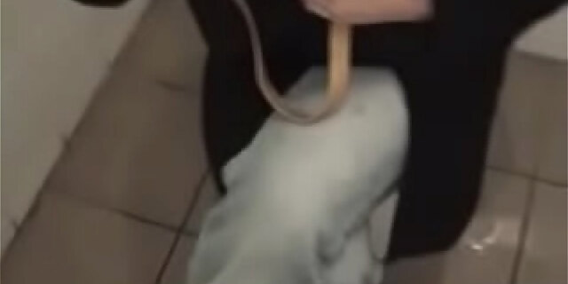 blowjob,oral,polish,sex,teen